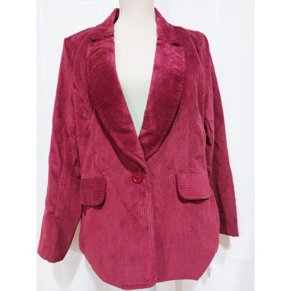 BJM-3361-19-women-s-jackets-wholesale-lot-variety-of-styles-and-sizes Women's Jackets Wholesale Lot | Variety of Styles and Sizes.