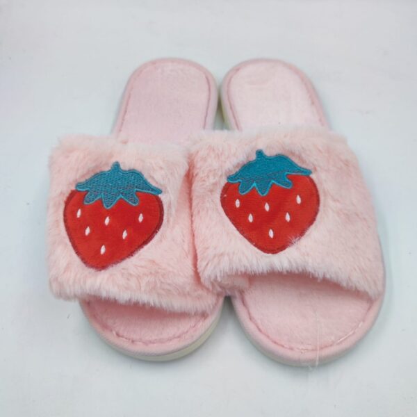 Winter Slippers Lot - Fruity Slippers