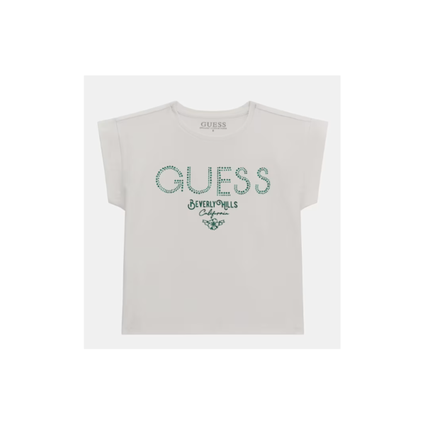 Guess - Wholesale clothing stock