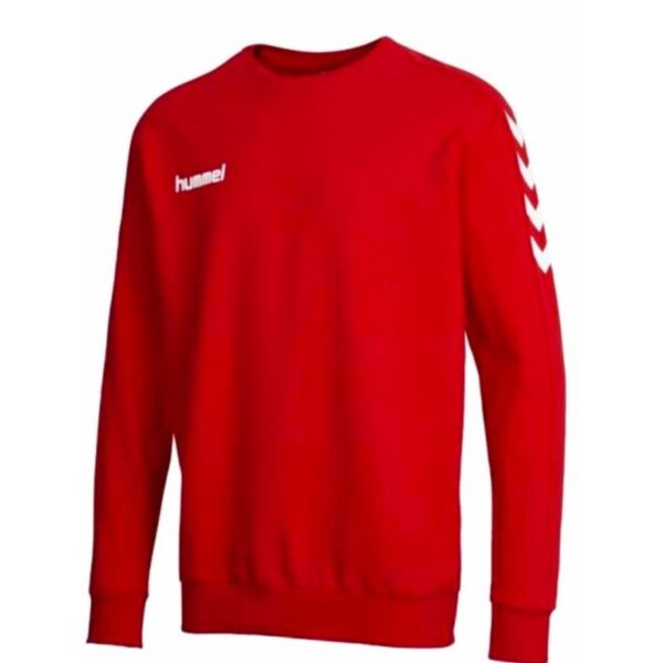 Hummel sweatshirts for kids