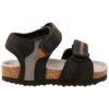 Wholesale Summer Children's Footwear Lot – Orchestra Brand for Baby, Girls and Boys