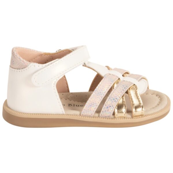 Wholesale Summer Children's Footwear Lot – Orchestra Brand for Baby, Girls and Boys