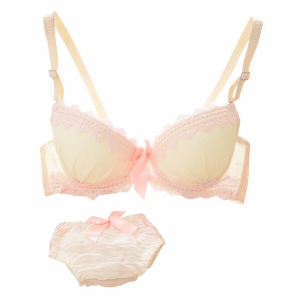 Wholesale Women's Lingerie and Underwear Assortment Lot