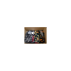 TikTok-Style Women’s Clothing Pallet – Wholesale Clearance