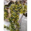 Wholesale Christmas Decoration Pallets – New Stock Clearance
