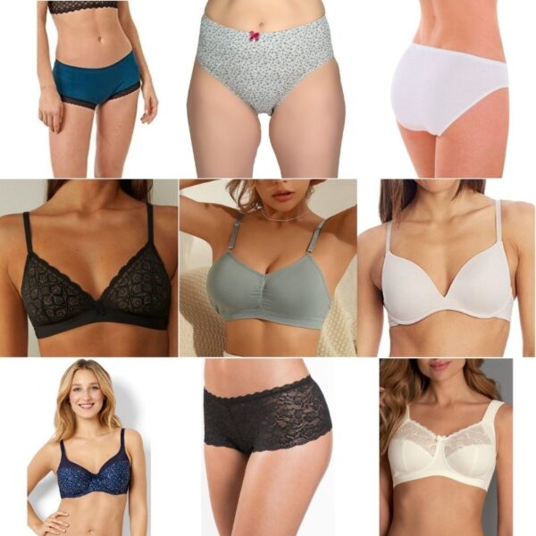 Wholesale Women’s Underwear Lot – Assorted European Brands