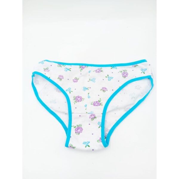 Wholesale Women’s Underwear Lot – Assorted European Brands