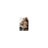Zuiki Winter Clothing Wholesale Lot - Bulk Purchase